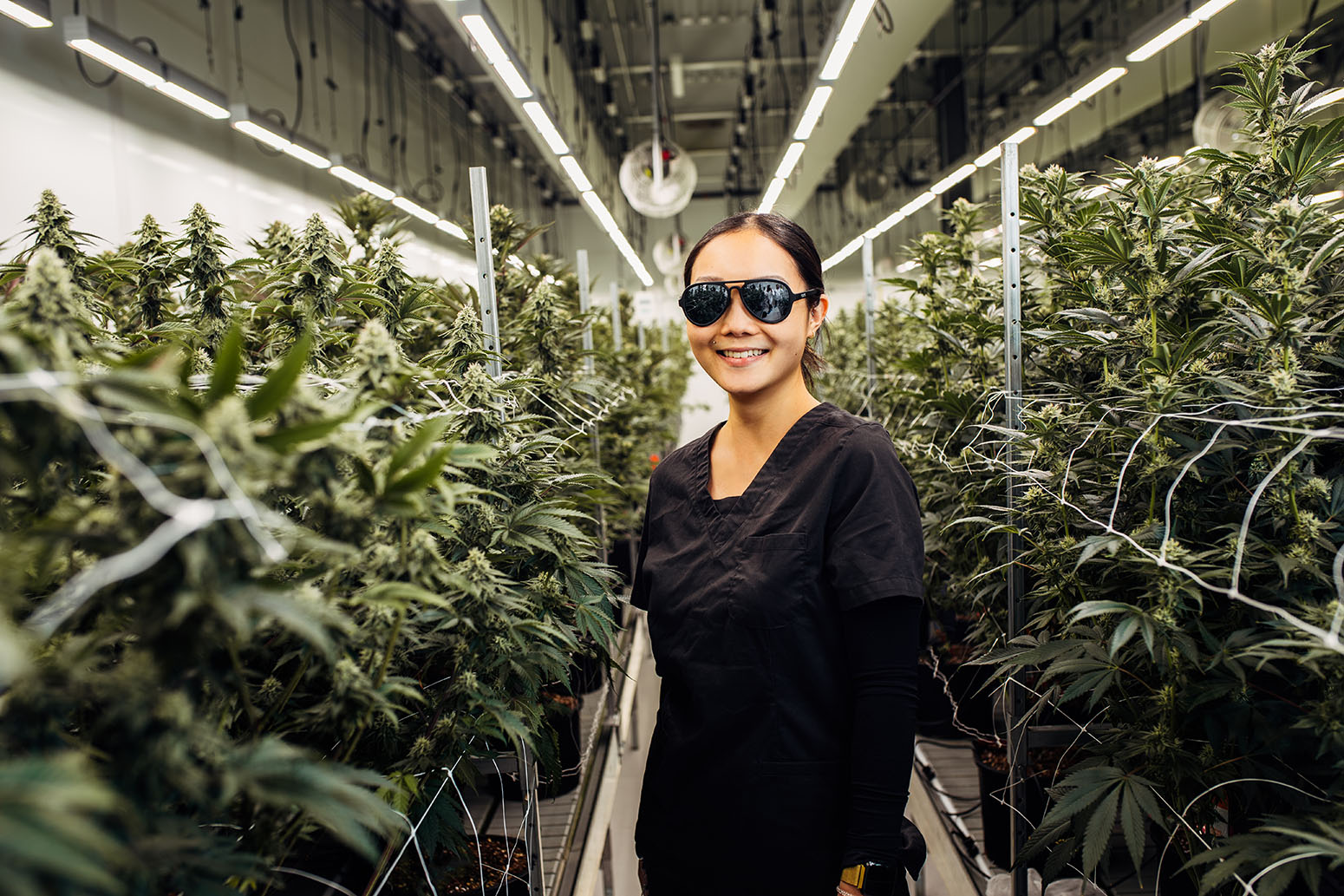 A smiling female worker in a cannabis cultivation facility, wearing black scrubs and protective sunglasses. She stands confidently between rows of lush cannabis plants supported by trellis netting. The environment is a high-tech indoor grow operation with bright LED lights and an advanced ventilation system. 